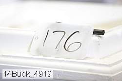 14buck_4919 proof