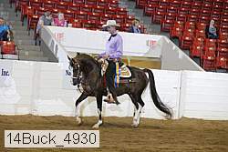 14buck_4930 proof