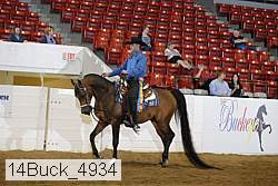 14buck_4934 proof