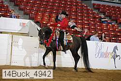 14buck_4942 proof