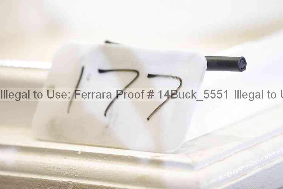 Proof 14buck_5551