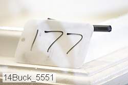14buck_5551 proof