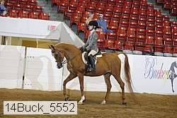 14buck_5552 proof