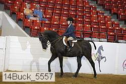 14buck_5557 proof