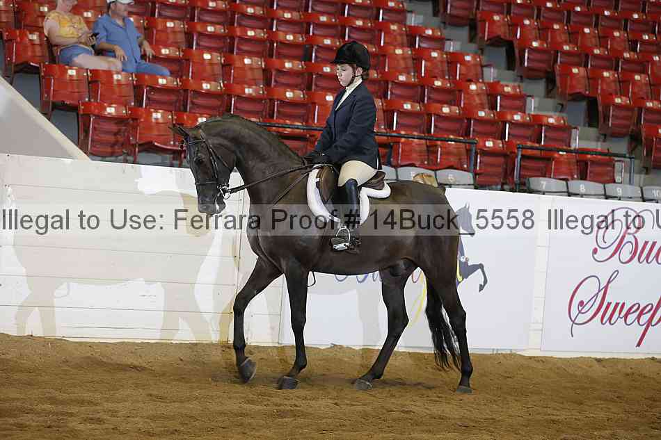Proof 14buck_5558
