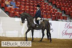 14buck_5558 proof