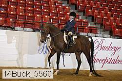 14buck_5560 proof