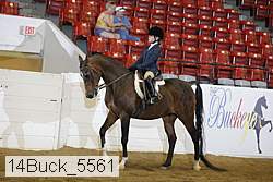 14buck_5561 proof