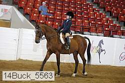 14buck_5563 proof