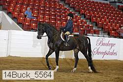 14buck_5564 proof
