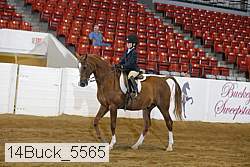 14buck_5565 proof