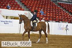 14buck_5566 proof