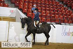 14buck_5567 proof