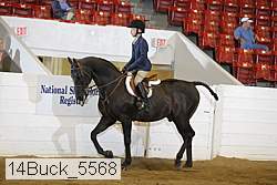 14buck_5568 proof
