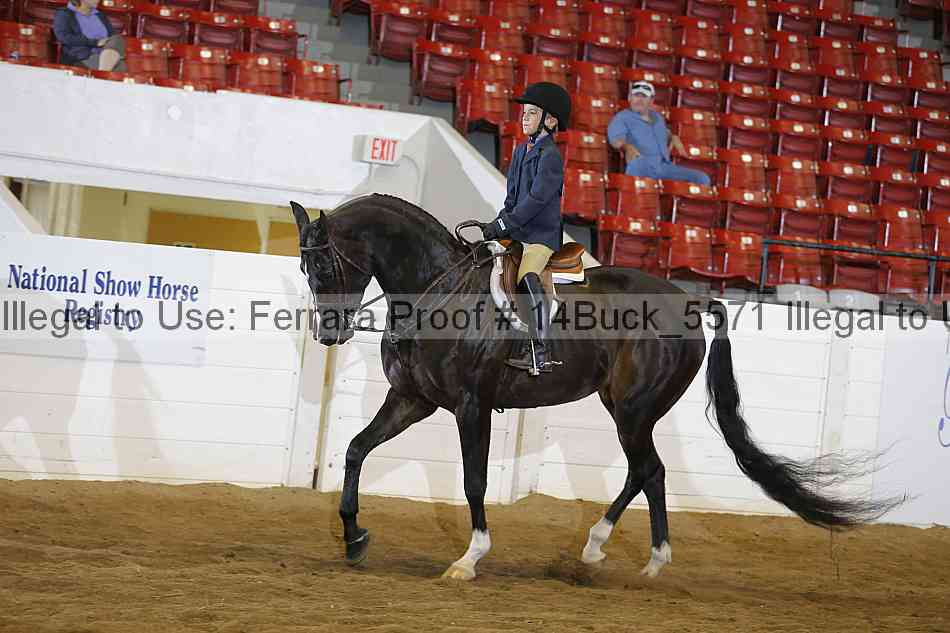 Proof 14buck_5571
