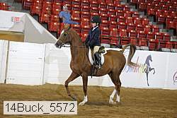 14buck_5572 proof