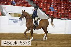 14buck_5573 proof