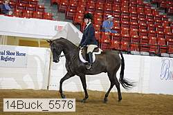 14buck_5576 proof