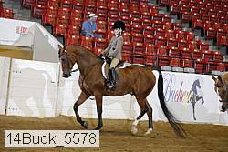14buck_5578 proof
