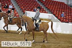 14buck_5579 proof