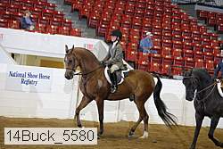 14buck_5580 proof