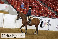 14buck_5582 proof