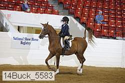 14buck_5583 proof
