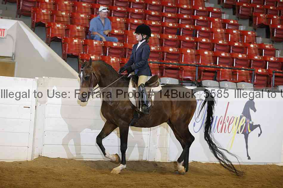 Proof 14buck_5585