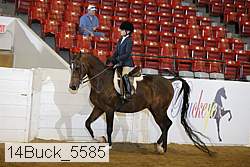 14buck_5585 proof
