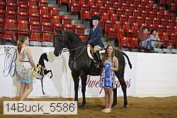 14buck_5586 proof