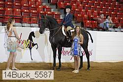 14buck_5587 proof