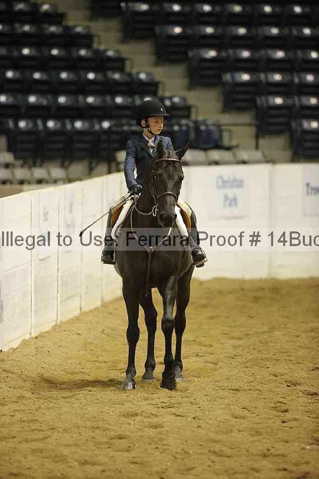 Proof 14buck_5588