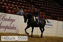 14buck_5589 proof
