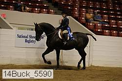 14buck_5590 proof