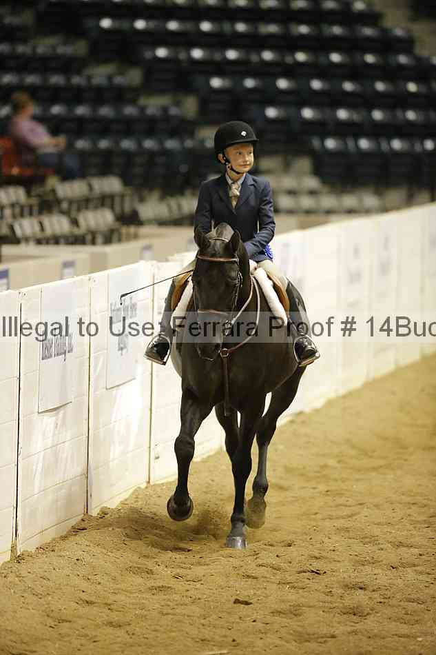Proof 14buck_5591