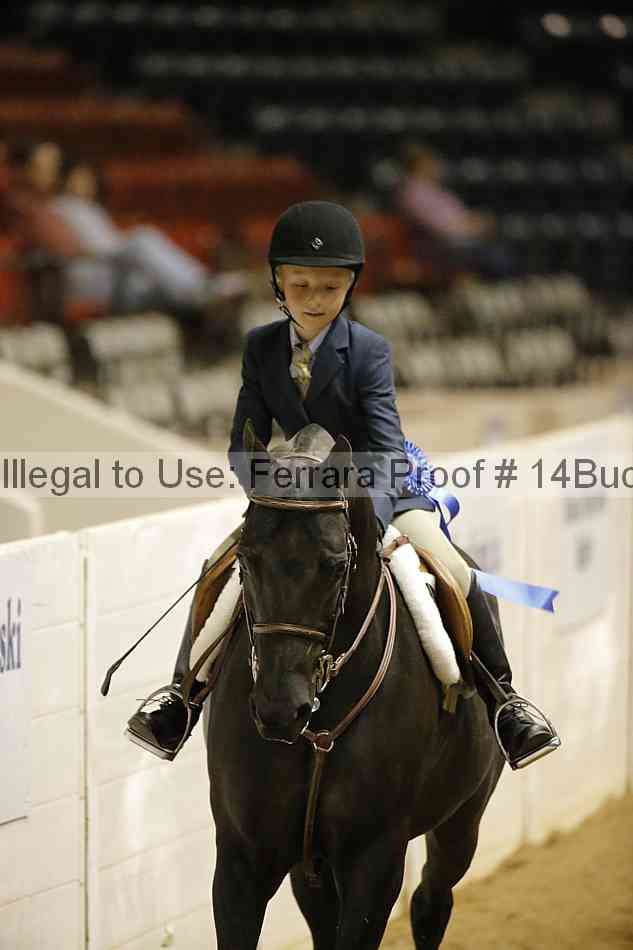 Proof 14buck_5593