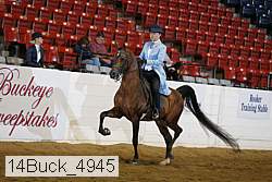 14buck_4945 proof
