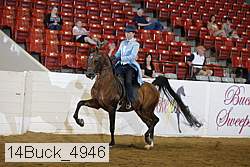 14buck_4946 proof