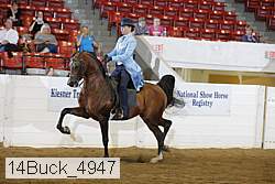 14buck_4947 proof