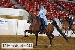 14buck_4949 proof