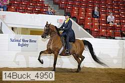 14buck_4950 proof