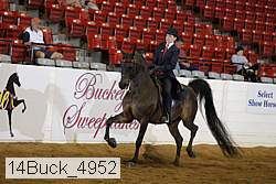 14buck_4952 proof