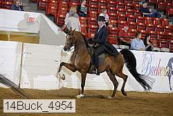 14buck_4954 proof