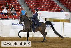 14buck_4958 proof