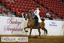 14buck_4960 proof