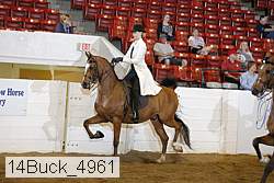 14buck_4961 proof