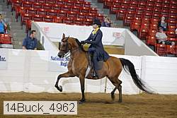 14buck_4962 proof