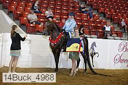 14buck_4968 proof