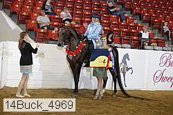 14buck_4969 proof
