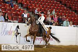 14buck_4977 proof
